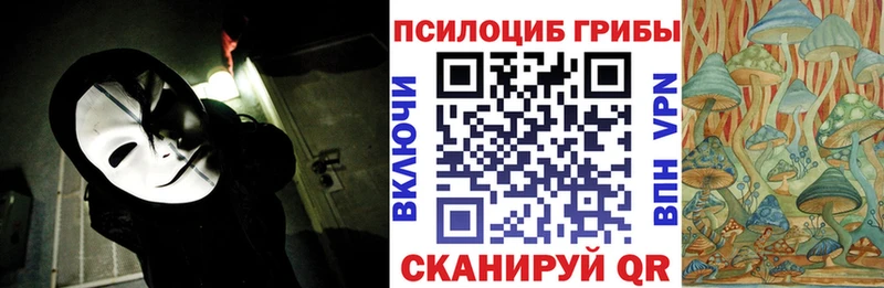 mega ONION  Нерехта  Псилоцибиновые грибы Psilocybine cubensis 